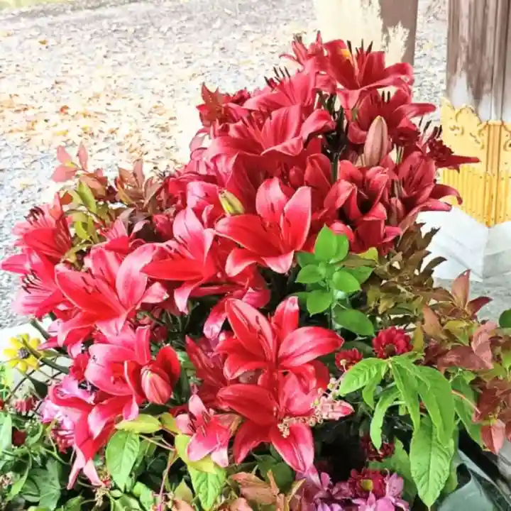 彌彦神社 (伊夜日子神社)(北海道)