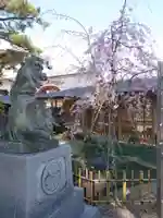 龍城神社の狛犬
