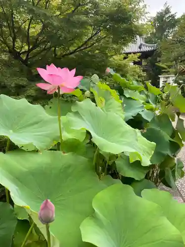 伊勢の国 四天王寺(三重県)
