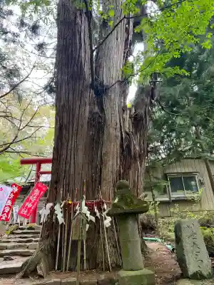 磐椅神社の{uncategorized: "未分類", other: "その他", undefined: "問題あり", building: "その他建物", grave: "お墓", sacred_gate: "鳥居", guardian: "狛犬", statue: "像", buddha: "仏像", history: "歴史", nature: "自然", garden: "庭園", animal: "動物", pagoda: "塔", temizu: "手水舎", mountain_gate: "山門・神門", sanctuary: "本殿・本堂", subordinate: "末社・摂社", art: "芸術", scenery: "景色", jizo: "地蔵", ema: "絵馬", goshuin: "御朱印", omikuji: "おみくじ", items: "授与品その他", amulet: "お守り", goshuincho: "御朱印帳", eats: "食事", festival: "お祭り", votive_dance: "神楽", shichigosan: "七五三参", wedding: "結婚式", experience: "体験その他", initially: "初詣", around: "周辺", anti_infection: "感染症対策"}
