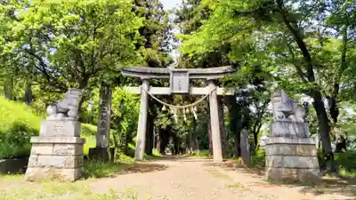 千代ケ岡八幡宮(栃木県)