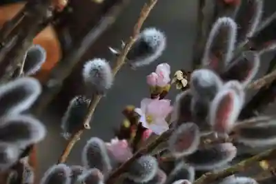 阿邪訶根神社の授与品その他