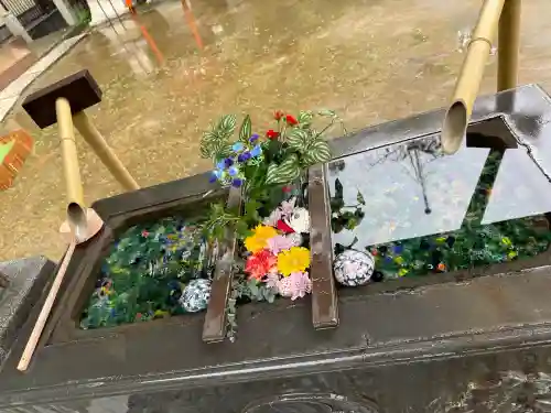根岸八幡神社の{uncategorized: "未分類", other: "その他", undefined: "問題あり", building: "その他建物", grave: "お墓", sacred_gate: "鳥居", guardian: "狛犬", statue: "像", buddha: "仏像", history: "歴史", nature: "自然", garden: "庭園", animal: "動物", pagoda: "塔", temizu: "手水舎", mountain_gate: "山門・神門", sanctuary: "本殿・本堂", subordinate: "末社・摂社", art: "芸術", scenery: "景色", jizo: "地蔵", ema: "絵馬", goshuin: "御朱印", omikuji: "おみくじ", items: "授与品その他", amulet: "お守り", goshuincho: "御朱印帳", eats: "食事", festival: "お祭り", votive_dance: "神楽", shichigosan: "七五三参", wedding: "結婚式", experience: "体験その他", initially: "初詣", around: "周辺", anti_infection: "感染症対策"}