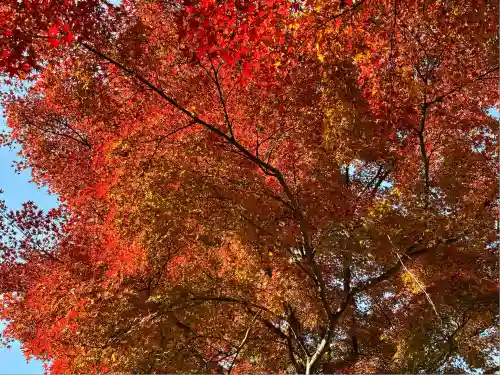 北野天満宮(京都府)