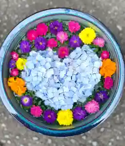 伊達神社の手水舎(2021年08月15日(日) 15時16分43秒投稿)