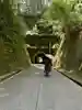 みかりん