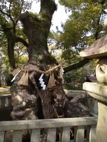 住吉大社(大阪府)