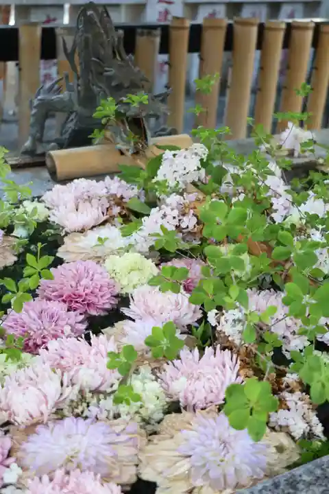 高円寺氷川神社(東京都)