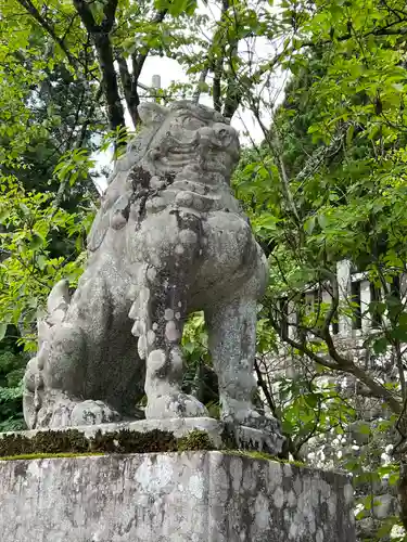 戸隠神社中社(長野県)