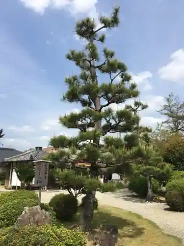 護国寺のその他建物