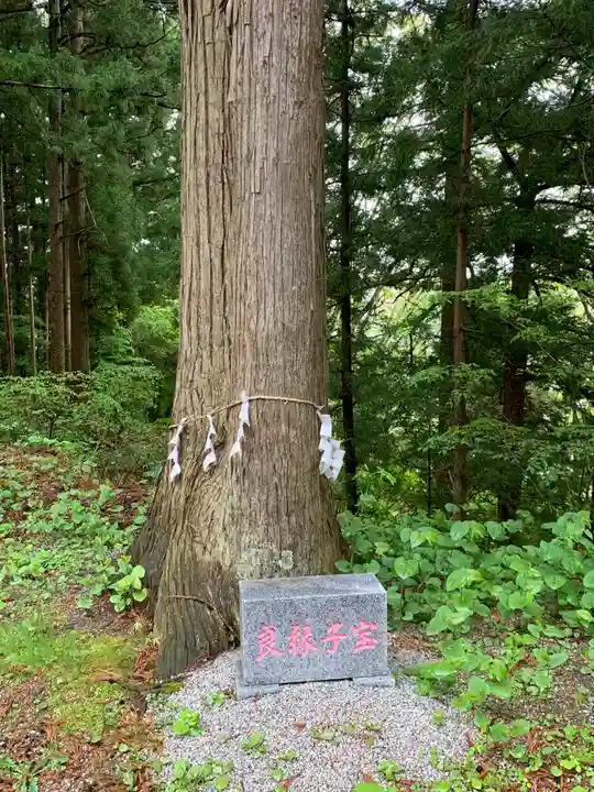 鹽竃神社の自然