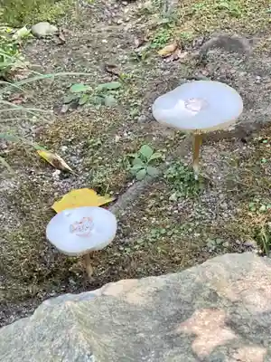 城南宮(京都府)