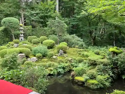 三千院門跡の庭園