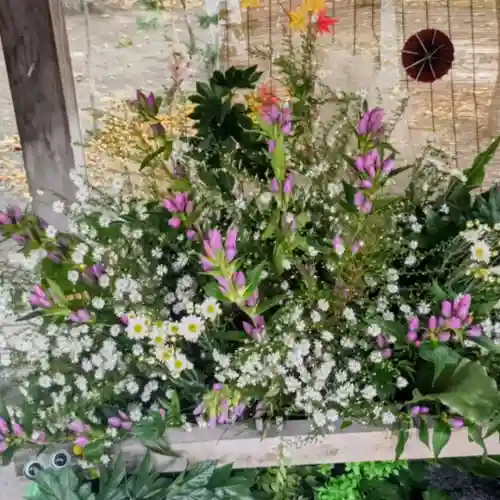 彌彦神社　(伊夜日子神社)(北海道)