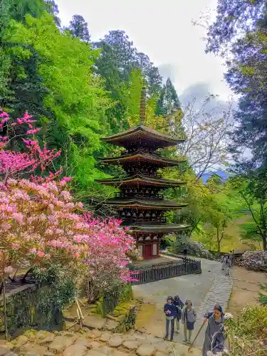 室生寺の塔