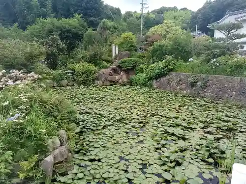 神宮寺の庭園