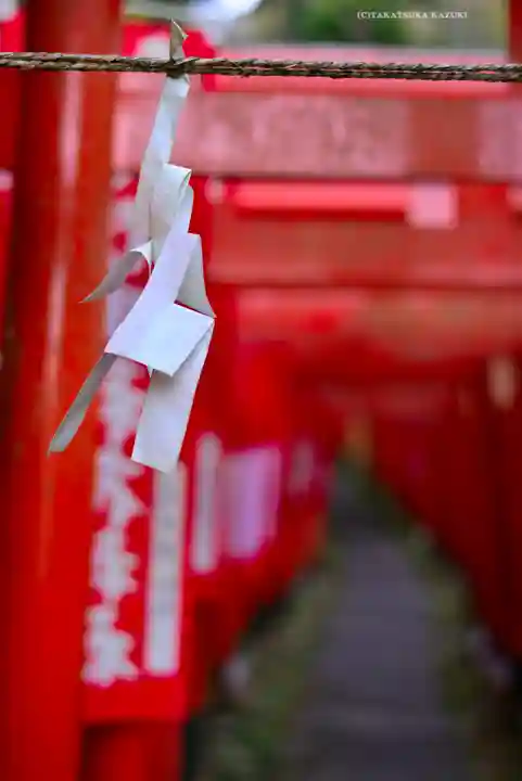 佐助稲荷神社の鳥居