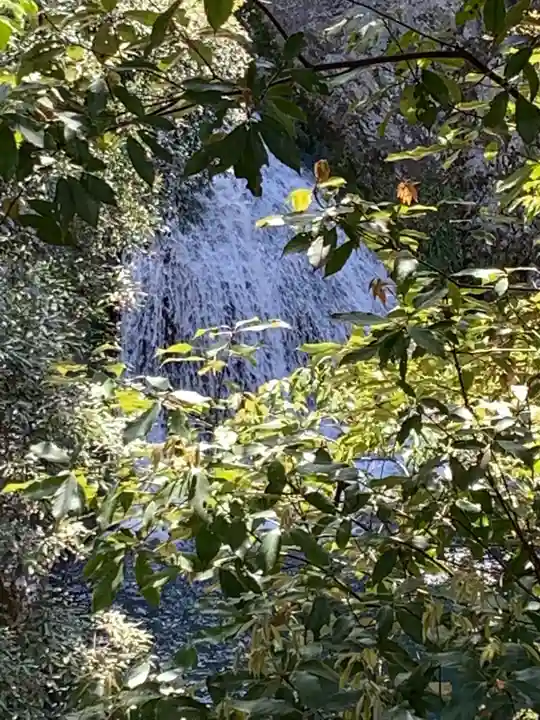 滝宮社(兵庫県)