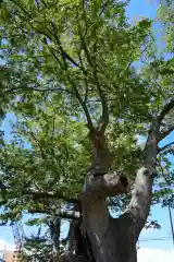 阿邪訶根神社(福島県)