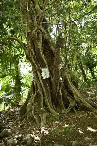 有鹿神社(神奈川県)