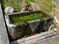 国宝 大法寺の手水舎