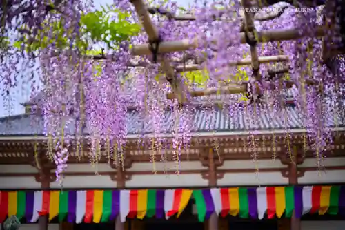 西新井大師総持寺(東京都)