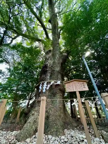 船江上社(三重県)