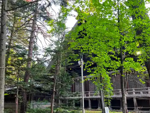 上川神社の自然