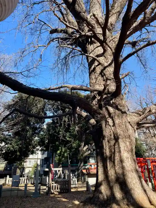 武芳稲荷神社の{uncategorized: "未分類", other: "その他", undefined: "問題あり", building: "その他建物", grave: "お墓", sacred_gate: "鳥居", guardian: "狛犬", statue: "像", buddha: "仏像", history: "歴史", nature: "自然", garden: "庭園", animal: "動物", pagoda: "塔", temizu: "手水舎", mountain_gate: "山門・神門", sanctuary: "本殿・本堂", subordinate: "末社・摂社", art: "芸術", scenery: "景色", jizo: "地蔵", ema: "絵馬", goshuin: "御朱印", omikuji: "おみくじ", items: "授与品その他", amulet: "お守り", goshuincho: "御朱印帳", eats: "食事", festival: "お祭り", votive_dance: "神楽", shichigosan: "七五三参", wedding: "結婚式", experience: "体験その他", initially: "初詣", around: "周辺", anti_infection: "感染症対策"}