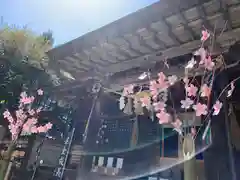 滑川神社 - 仕事と子どもの守り神の本殿