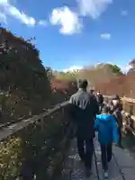 長岡天満宮の景色