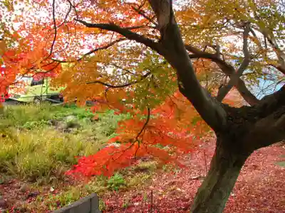市神神社濱宮(滋賀県)
