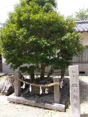 矢田坐久志玉比古神社(奈良県)