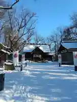 旭川神社(北海道)