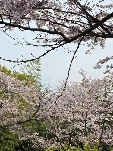 お籠り堂の自然