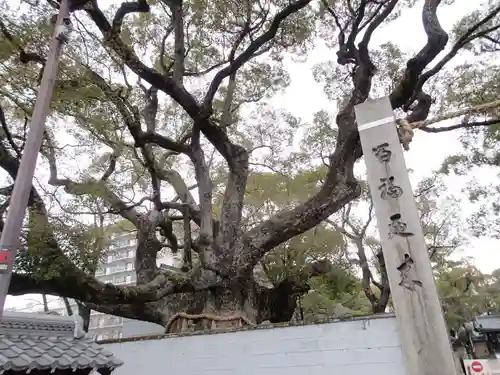 杭全神社の歴史