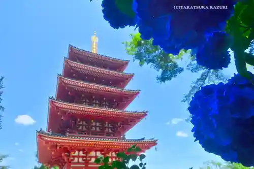 高幡不動尊　金剛寺(東京都)