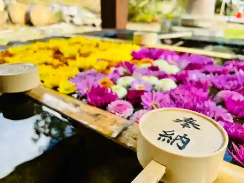 土津神社｜こどもと出世の神さまの手水