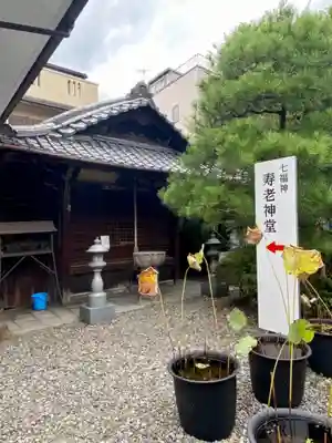 行願寺（革堂）のその他建物