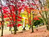 土津神社|こどもと出世の神さまの景色