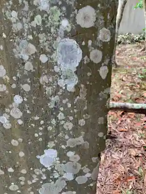 東町神社(千葉県)