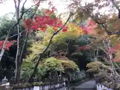 鹿嶋神社の自然