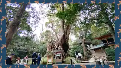 來宮神社(静岡県)