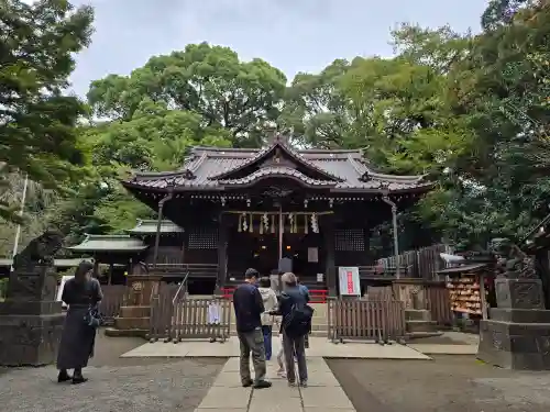 代々木八幡宮の本殿・本堂
