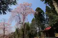 愛宕神社の自然