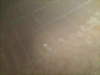 走湯神社(静岡県)