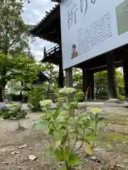 伊勢の国 四天王寺の建物その他