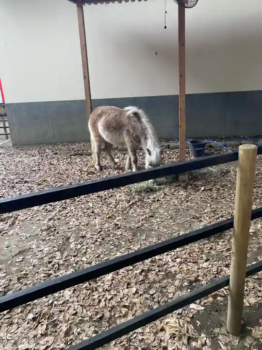 平塚八幡宮(神奈川県)