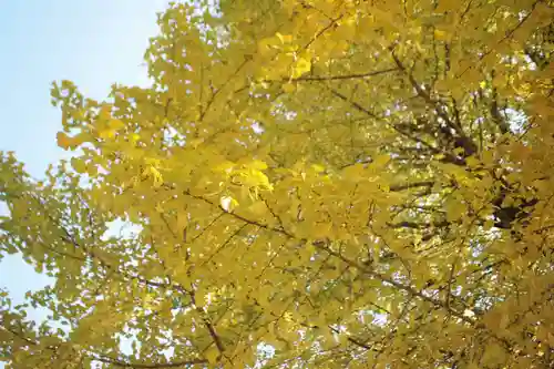 弘法山観世音の自然
