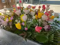 宮地嶽神社の手水舎